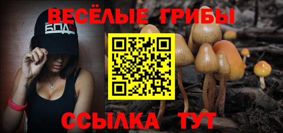 Псилоцибиновые грибы ЛСД  Вход с VPN  Трёхгорный 